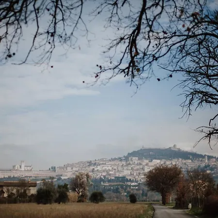 Appartamento Assisi Essence - Con Balcone E Parcheggio *